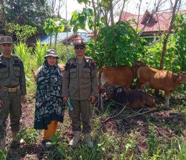 SatpolPP Konut - ternak